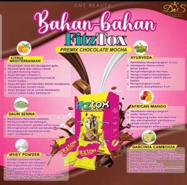 FITZTOX PREMIX CHOCOLATE MOCHA - Image 2